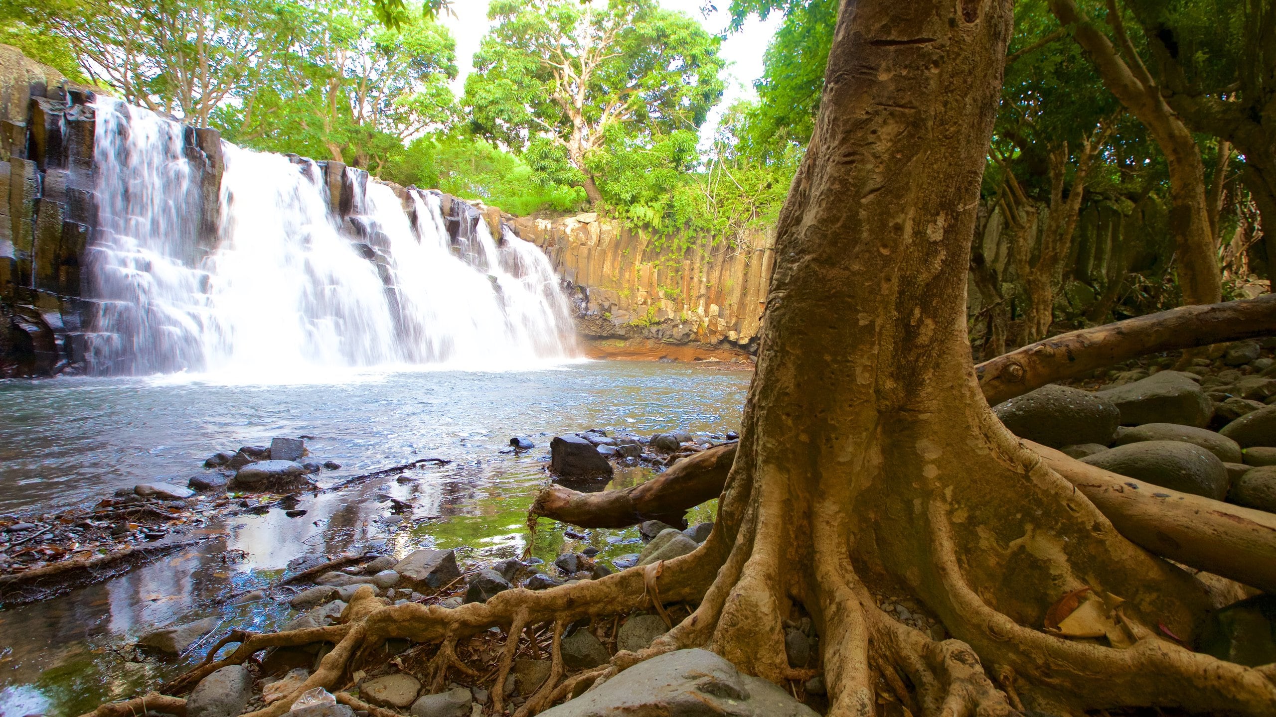 Black River Gorges National Park thumbnail