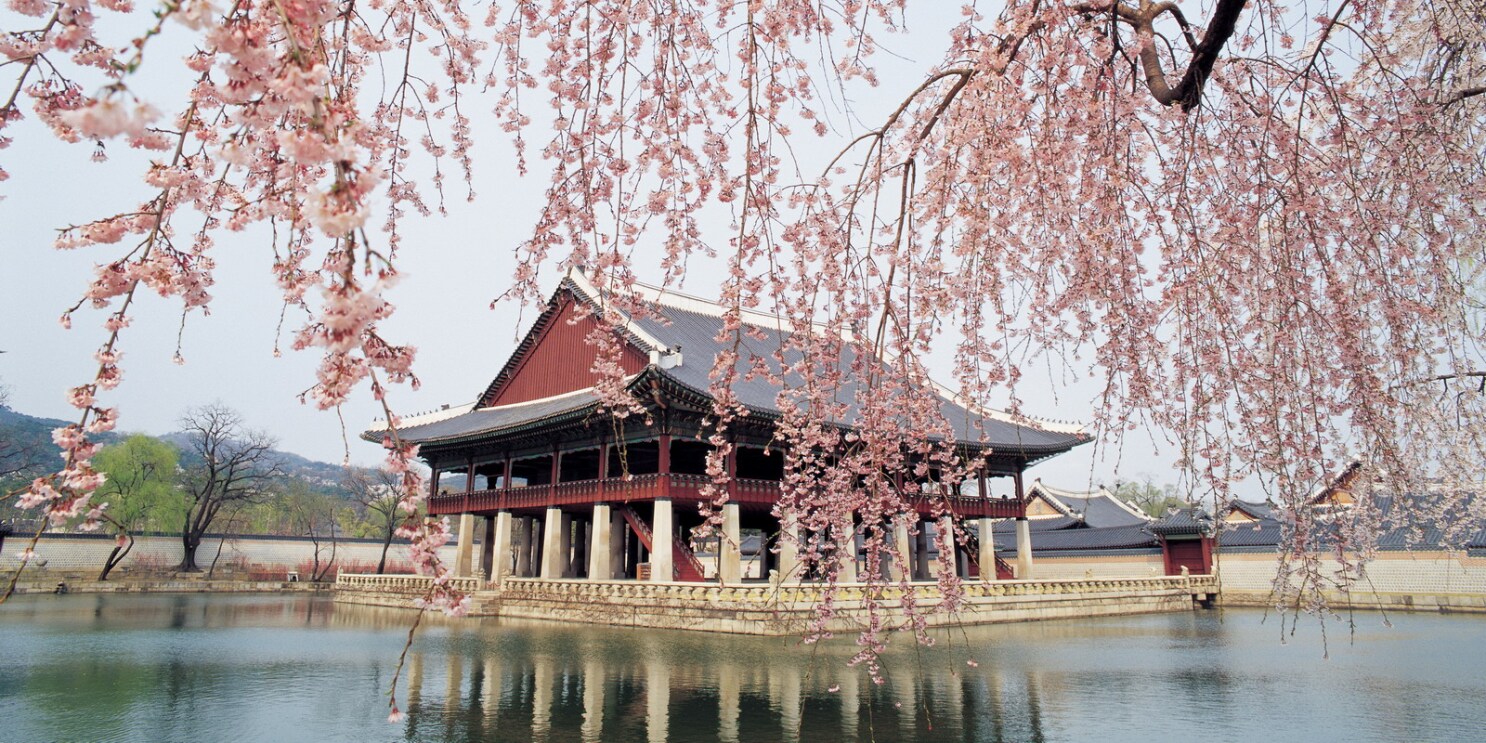 Gyeongbokgung Palace thumbnail