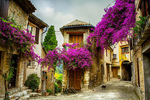 Provence