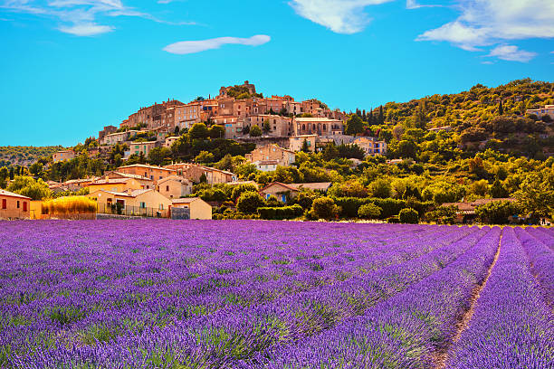 Provence thumbnail