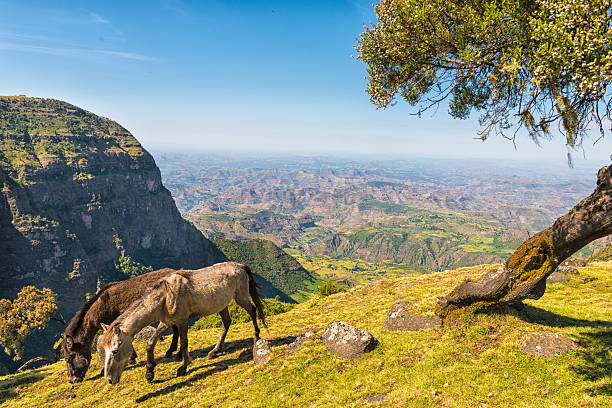 Simien Mountains thumbnail
